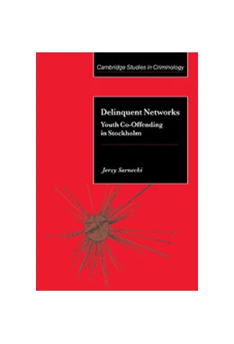 Abbildung von Sarnecki | Delinquent Networks | 1. Auflage | 2001 | beck-shop.de