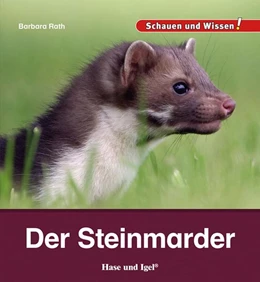 Abbildung von Rath | Der Steinmarder | 1. Auflage | 2023 | beck-shop.de