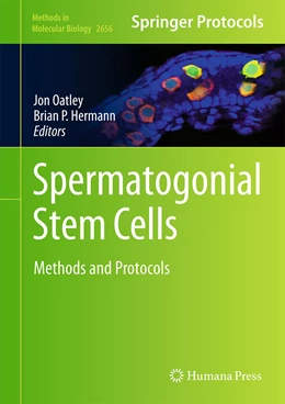 Abbildung von M. Oatley / Hermann | Spermatogonial Stem Cells | 1. Auflage | 2023 | 2656 | beck-shop.de