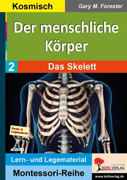 Abbildung von Forester | Der menschliche Körper / Band 2: Das Skelett | 1. Auflage | 2023 | beck-shop.de