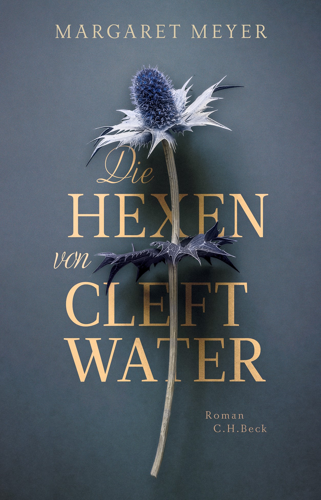 Cover: Meyer, Margaret, Die Hexen von Cleftwater