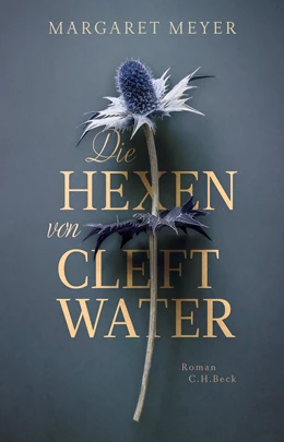 Abbildung von Meyer, Margaret | Die Hexen von Cleftwater | 1. Auflage | 2023 | beck-shop.de