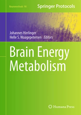 Abbildung von Hirrlinger / Waagepetersen | Brain Energy Metabolism | 1. Auflage | 2014 | beck-shop.de
