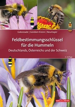 Abbildung von Gokcezade / Gereben-Krenn | Feldbestimmungsschlüssel für die Hummeln Deutschlands, Österreichs und der Schweiz | 3. Auflage | 2023 | beck-shop.de