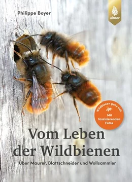 Abbildung von Boyer | Vom Leben der Wildbienen | 2. Auflage | 2023 | beck-shop.de