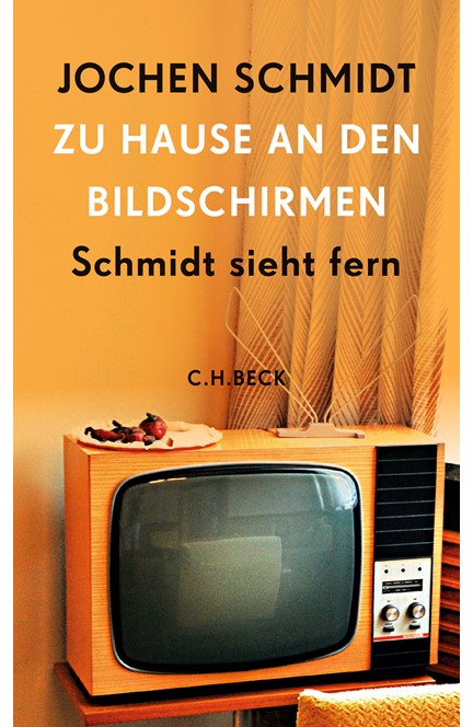 Cover: Jochen Schmidt, Zu Hause an den Bildschirmen