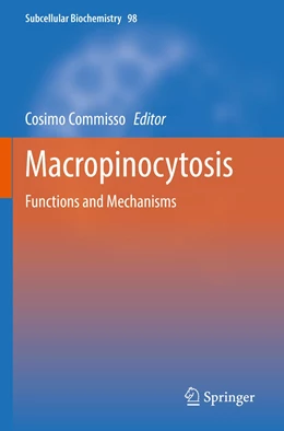 Abbildung von Commisso | Macropinocytosis | 1. Auflage | 2023 | 98 | beck-shop.de