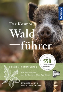 Abbildung von Dreyer | Der Kosmos Waldführer | 1. Auflage | 2023 | beck-shop.de