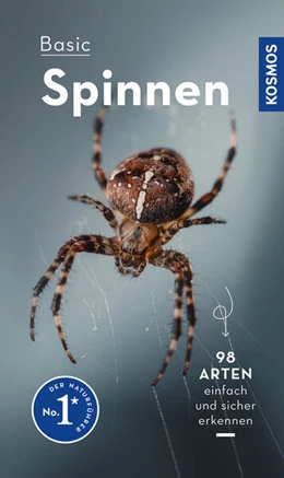 Abbildung von Wilker | Basic Spinnen | 1. Auflage | 2023 | beck-shop.de