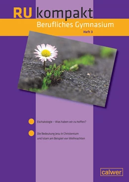 Abbildung von Hauser / Hermann | RU kompakt Berufliches Gymnasium Heft 3 | 1. Auflage | 2023 | beck-shop.de