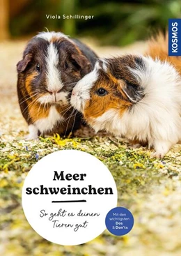 Abbildung von Schillinger | Meerschweinchen | 1. Auflage | 2023 | beck-shop.de