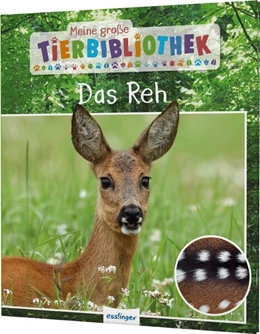 Abbildung von Poschadel | Meine große Tierbibliothek: Das Reh | 1. Auflage | 2023 | beck-shop.de