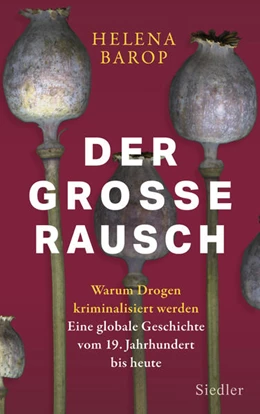Abbildung von Barop | Der große Rausch | 1. Auflage | 2023 | beck-shop.de