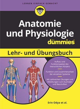 Abbildung von Odya et al. | Anatomie und Physiologie für Dummies | 1. Auflage | 2023 | beck-shop.de