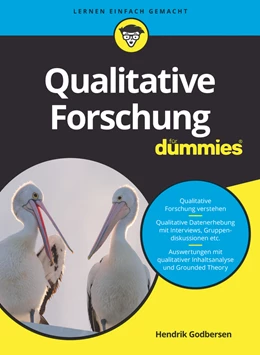 Abbildung von Godbersen | Qualitative Forschung für Dummies | 1. Auflage | 2023 | beck-shop.de