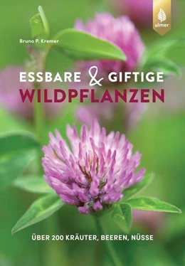 Abbildung von Kremer | Essbare und giftige Wildpflanzen | 1. Auflage | 2023 | beck-shop.de