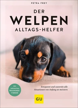 Abbildung von Frey | Der Welpen-Alltags-Helfer | 1. Auflage | 2023 | beck-shop.de