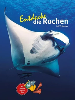 Abbildung von Sonntag | Entdecke die Rochen | 1. Auflage | 2023 | beck-shop.de