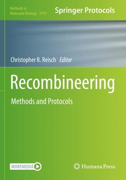 Abbildung von Reisch | Recombineering | 1. Auflage | 2023 | 2479 | beck-shop.de
