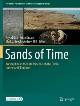 Abbildung von Bibi / Kraatz | Sands of Time | 1. Auflage | 2023 | beck-shop.de
