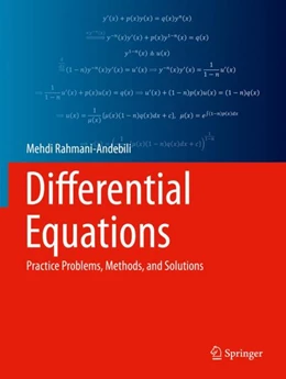 Abbildung von Rahmani-Andebili | Differential Equations | 1. Auflage | 2023 | beck-shop.de