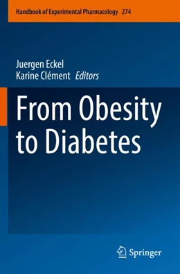 Abbildung von Eckel / Clément | From Obesity to Diabetes | 1. Auflage | 2023 | 274 | beck-shop.de