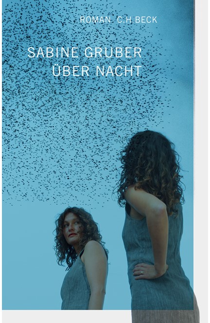 Cover: Sabine Gruber, Über Nacht