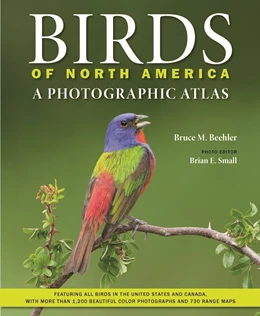 Abbildung von Beehler / Small | Birds of North America | 1. Auflage | 2024 | beck-shop.de
