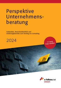 Abbildung von Hies | Perspektive Unternehmensberatung 2024 | 16. Auflage | 2023 | beck-shop.de