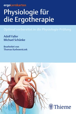 Abbildung von Schünke | ergoLernkarten - Physiologie für die Ergotherapie | 1. Auflage | 2023 | beck-shop.de