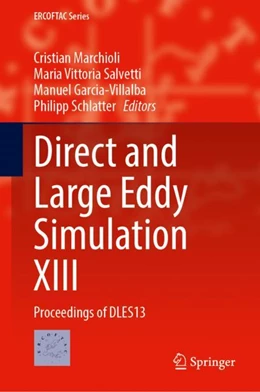 Abbildung von Marchioli / Salvetti | Direct and Large Eddy Simulation XIII | 1. Auflage | 2023 | 31 | beck-shop.de