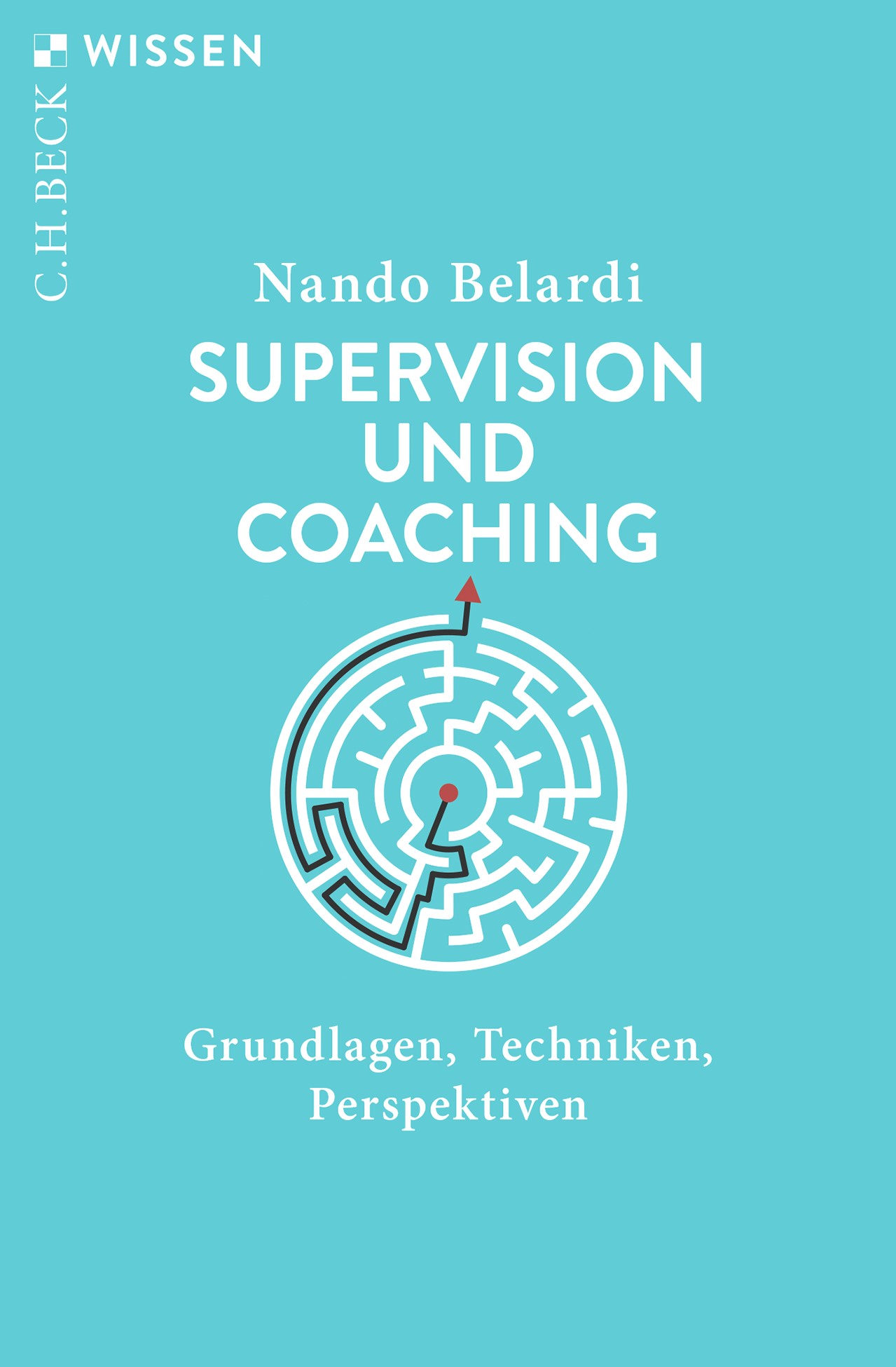 Cover: Belardi, Nando, Supervision und Coaching