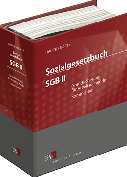 Abbildung von Hauck / Noftz | Sozialgesetzbuch (SGB) II: Grundsicherung für Arbeitssuchende • mit Aktualisierungsservice | 1. Auflage | 2020 | beck-shop.de