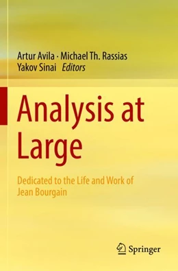 Abbildung von Avila / Rassias | Analysis at Large | 1. Auflage | 2023 | beck-shop.de