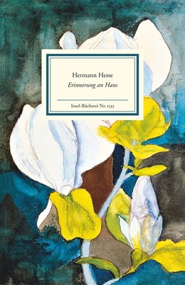 Abbildung von Hesse | Erinnerung an Hans | 1. Auflage | 2024 | beck-shop.de