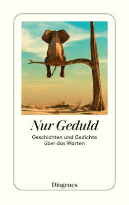 Abbildung von Schoknecht | Nur Geduld | 1. Auflage | 2024 | beck-shop.de
