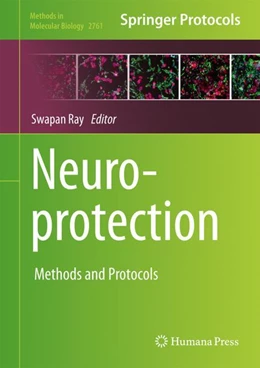 Abbildung von Ray | Neuroprotection | 1. Auflage | 2024 | 2761 | beck-shop.de