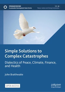 Abbildung von Braithwaite | Simple Solutions to Complex Catastrophes | 1. Auflage | 2024 | beck-shop.de