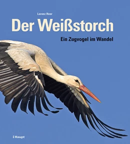 Abbildung von Heer | Der Weißstorch | 1. Auflage | 2024 | beck-shop.de