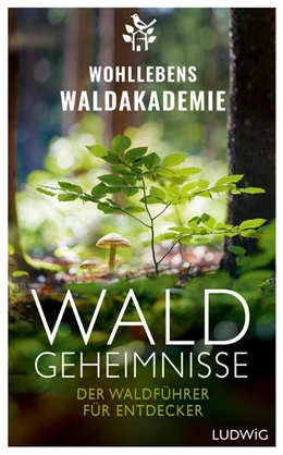 Abbildung von Wohllebens Waldakademie | Waldgeheimnisse | 1. Auflage | 2024 | beck-shop.de
