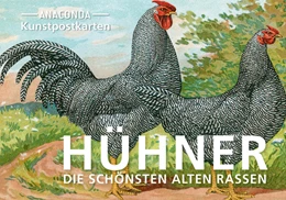 Abbildung von Verlag | Postkarten-Set Hühner | 1. Auflage | 2024 | beck-shop.de