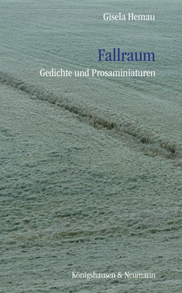 Abbildung von Hemau | Fallraum | 1. Auflage | 2023 | beck-shop.de