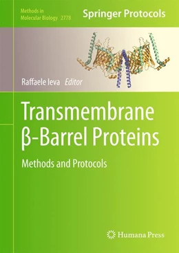 Abbildung von Ieva | Transmembrane ß-Barrel Proteins | 1. Auflage | 2024 | 2778 | beck-shop.de