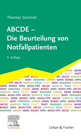 Abbildung von Semmel | ABCDE - Die Beurteilung von Notfallpatienten | 4. Auflage | 2024 | beck-shop.de