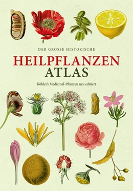 Abbildung von Köhler / Tackenberg | Der große Heilpflanzen-Atlas | 1. Auflage | 2024 | beck-shop.de
