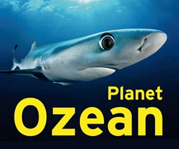 Abbildung von Schmitz | Planet Ozean | 1. Auflage | 2024 | beck-shop.de