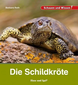 Abbildung von Rath | Die Schildkröte | 1. Auflage | 2024 | beck-shop.de