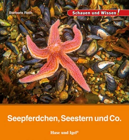 Abbildung von Rath | Seepferdchen, Seestern und Co. | 1. Auflage | 2024 | beck-shop.de
