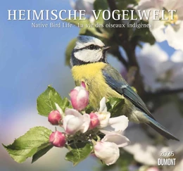 Abbildung von DUMONT Kalender | Heimische Vogelwelt 2025 - DUMONT Wandkalender - mit den wichtigsten Feiertagen - Format 38,0 x 35,5 cm | 1. Auflage | 2024 | beck-shop.de