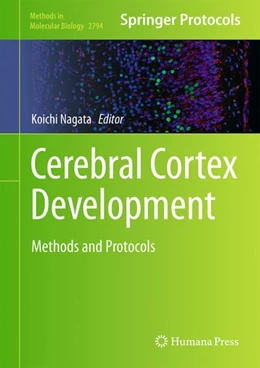 Abbildung von Nagata | Cerebral Cortex Development | 1. Auflage | 2024 | 2794 | beck-shop.de